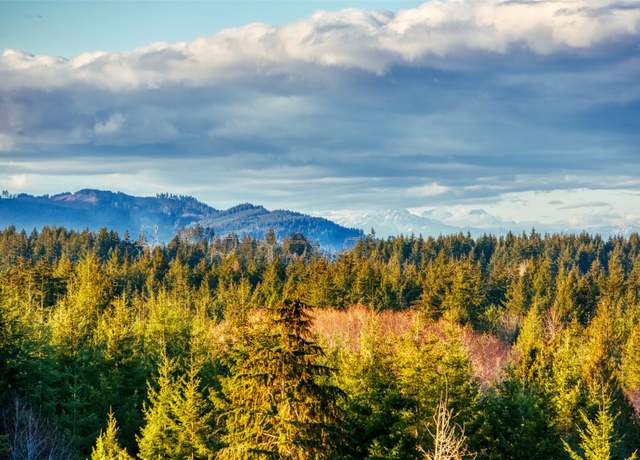 Property at 14010 Quiet Waters Ln SW, Rochester, WA 98579