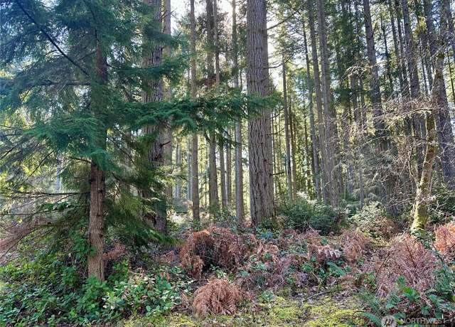 Property at 12910 98th St, Anderson Island, WA 98303