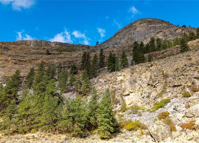 Property at 0 TBD Pharr Out - 13 Way, Omak, WA 98841