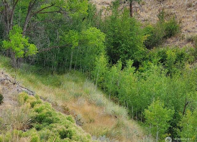 Property at 6 Cowboy Rd, Methow, WA 98834