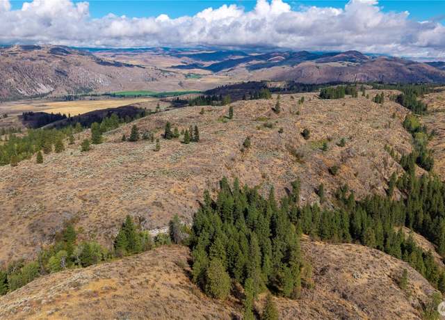 Property at 0 TBD Pharr Out - 14 Way, Omak, WA 98841