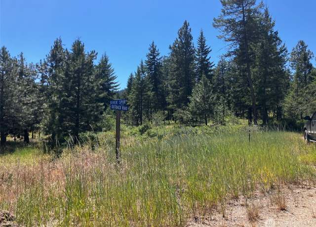 Property at 25 Outback Rd, Oroville, WA 98844
