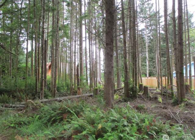 Property at 111 Olympic View Ave NE, Ocean Shores, WA 98569