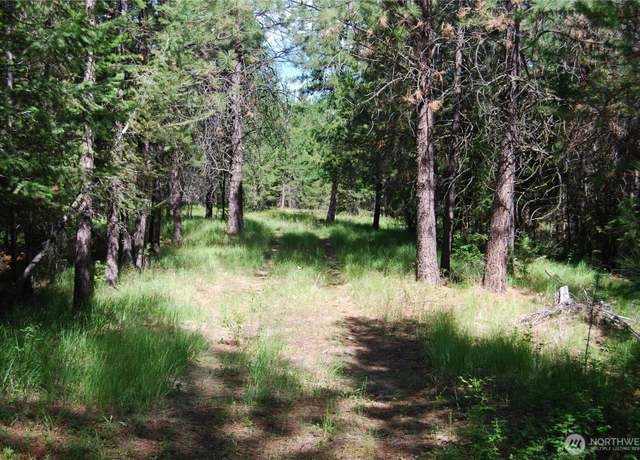 Property at 30 -23 Wild Turkey, Riverside, WA 98849