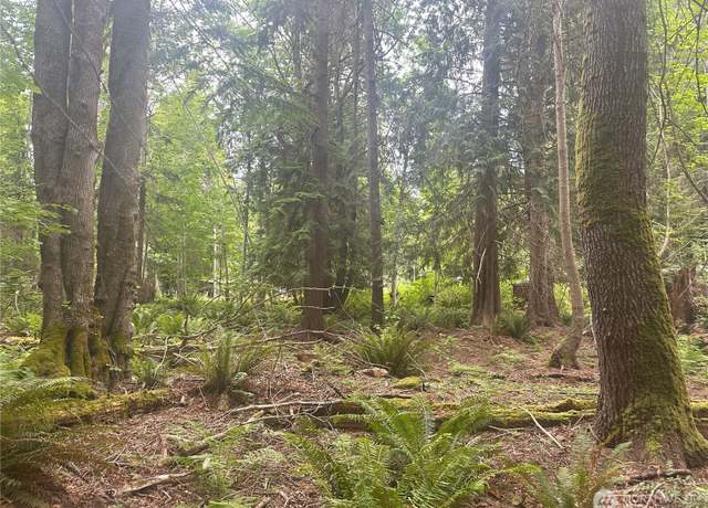 Property at 0 Black Point Ct, Brinnon, WA 98320