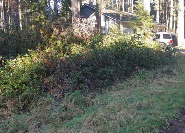 Property at 9214 122nd Ave, Anderson Island, WA 98303