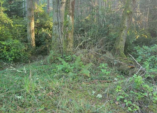 Property at 11920 Country Club Dr, Anderson Island, WA 98303