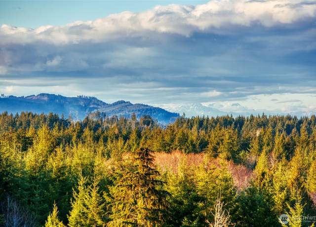 Property at 13816 Quiet Waters Ln SW, Rochester, WA 98579