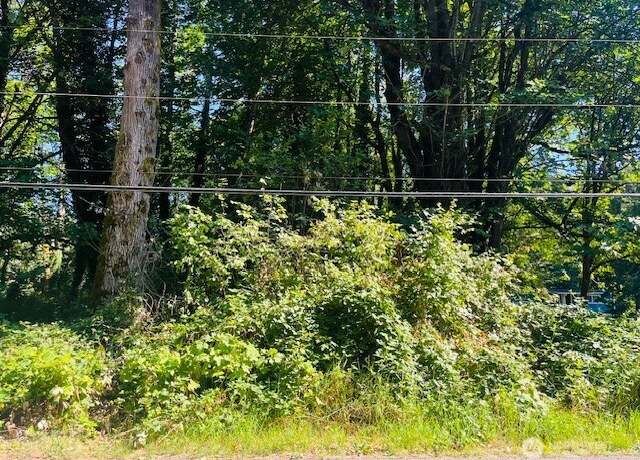 Property at 2 Lot Cape Horn Dr, Concrete, WA 98237