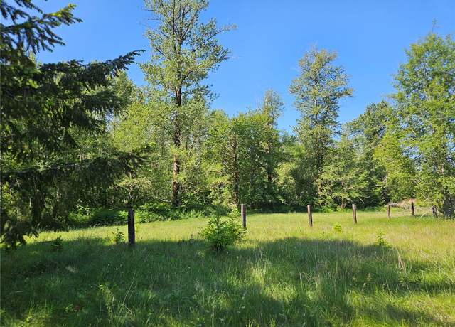 Property at 0 Park Junction Rd E, Elbe, WA 98330