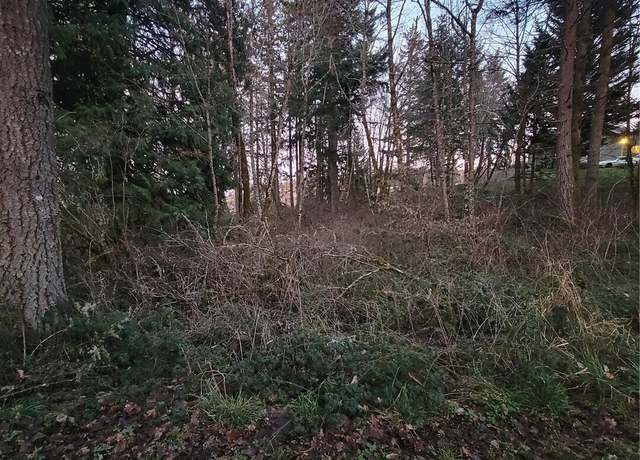 Property at 14308 86th Ave SE, Yelm, WA 98597