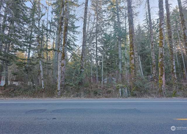 Property at 56104 Kernahan Rd E, Ashford, WA 98304