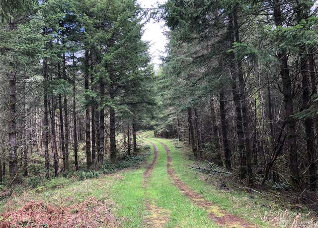 Property at 217 XX Thompson Creek Rd, Tenino, WA 98589