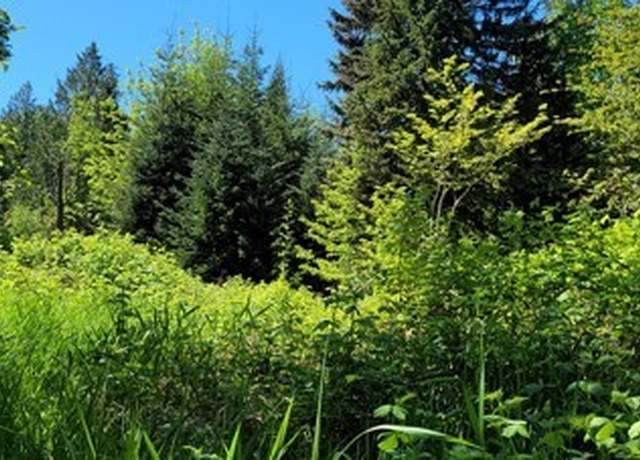 Property at 825 99th Ave SE, Lake Stevens, WA 98258, 3 beds, 2 baths