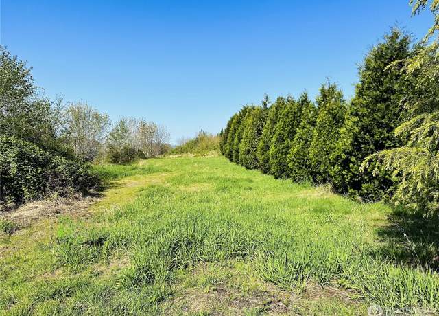 Property at 295 DeGoede Dr, Mossyrock, WA 98564