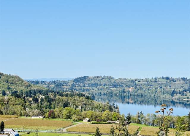 Property at 295 DeGoede Dr, Mossyrock, WA 98564