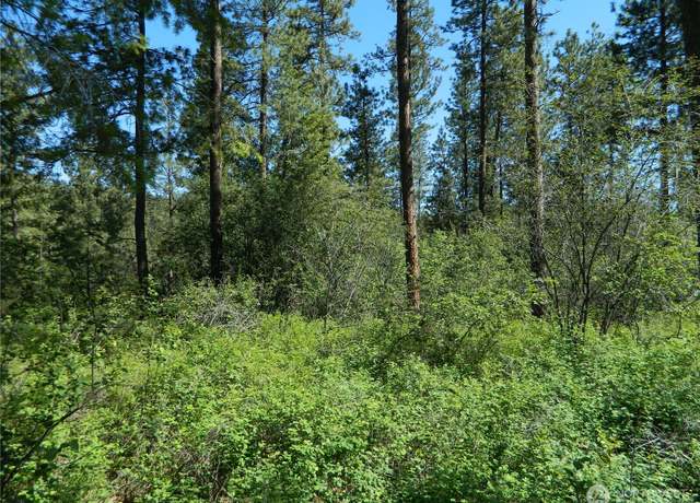 Property at 111 TBD Murphy Ranch Rd, Tonasket, WA 98855