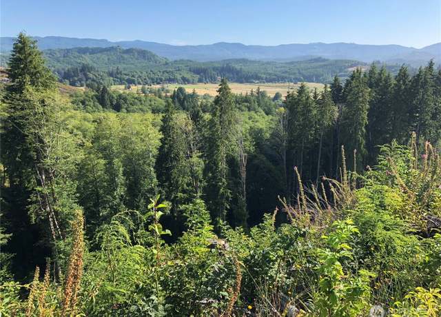 Property at 0 Lot B State Route 4 Hwy, Skamokawa, WA 98674