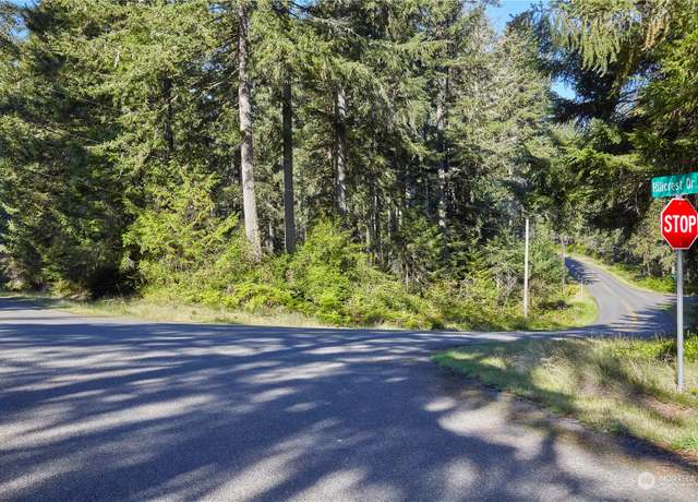 Property at 10423 Lake Josephine Blvd, Anderson Island, WA 98303