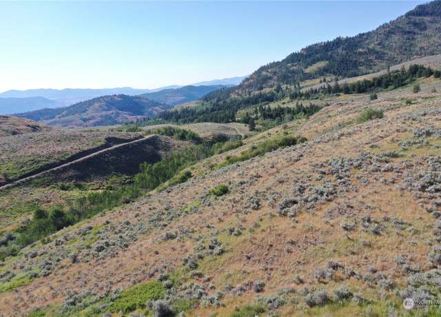 Property at 1121 TBD Ellemeham Mtn Rd, Oroville, WA 98844