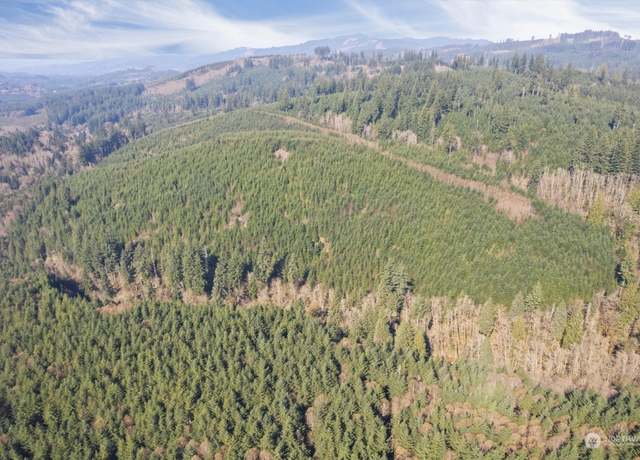 Property at 0 Cedar Mist, Amboy, WA 98601