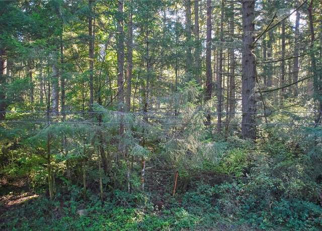 Property at 10217 Eckenstam Johnson Rd, Anderson Island, WA 98303