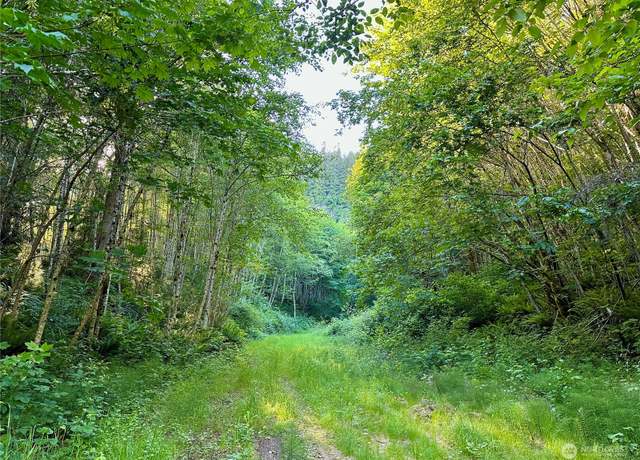 Property at 0 SR-4, Cathlamet, WA 98612