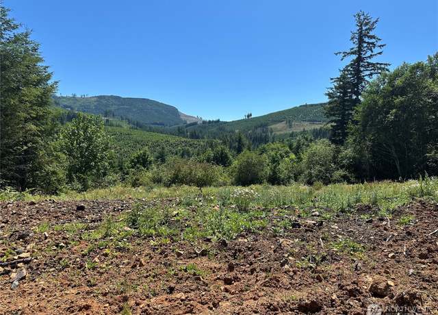 Property at 0 Kalama River Rd, Kalama, WA 98625