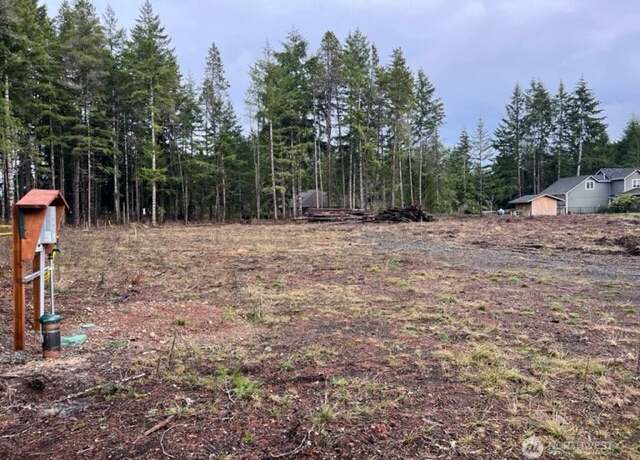 Property at 100 E El Fuego Dr, Shelton, WA 98584