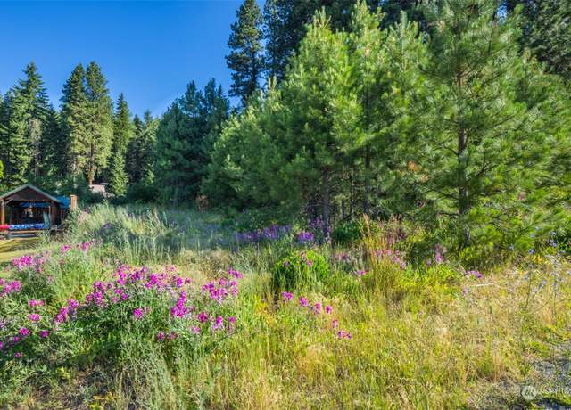 Property at 203 E Nevada Ave, Roslyn, WA 98941