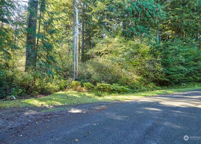 Property at 11114 106th St, Anderson Island, WA 98303