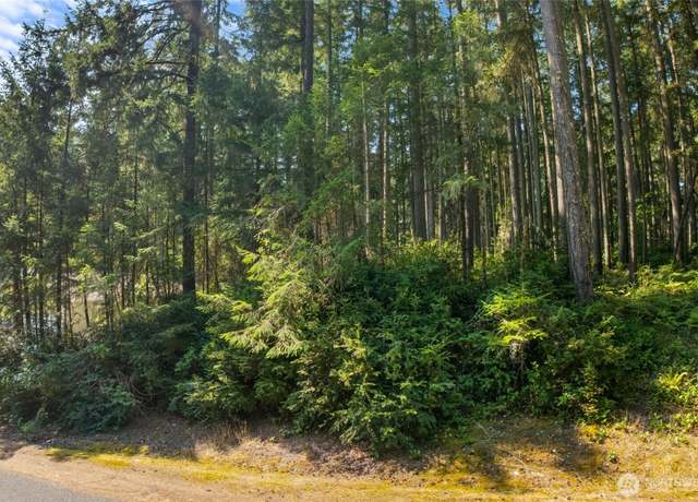 Property at 10018 Edgewood Dr, Anderson Island, WA 98303