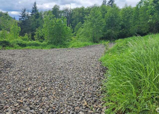 Property at 0 Madison Dr, Mossyrock, WA 98564