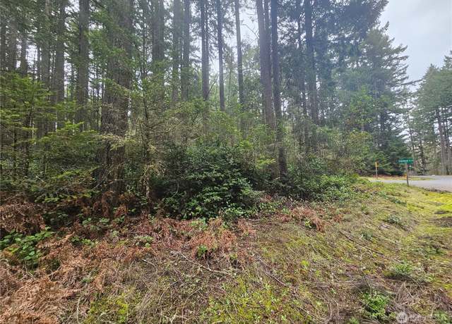 Property at 12717 Camus Dr, Anderson Island, WA 98303