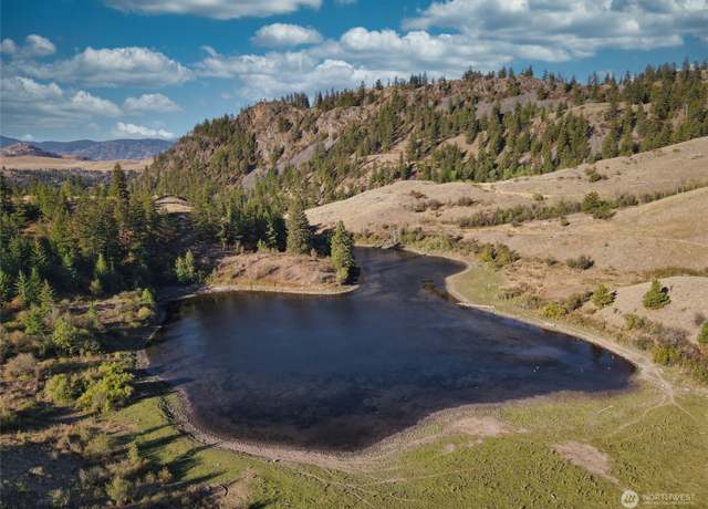 Property at 84 xx Wannacut Lake Rd, Oroville, WA 98844