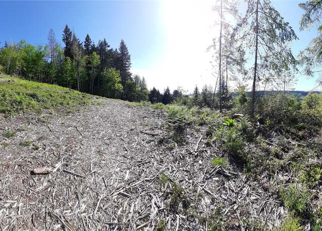 Property at 101 NE WJ Way, Belfair, WA 98528