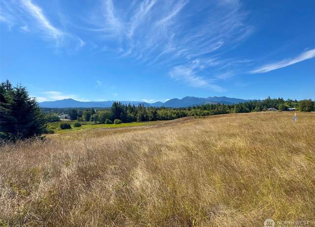 Property at 9999 Olympic Meadows, Parcel 11, Port Angeles, WA 98362