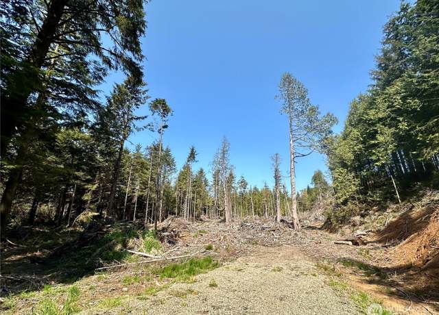 Property at 0 40th St, Seaview, WA 98644