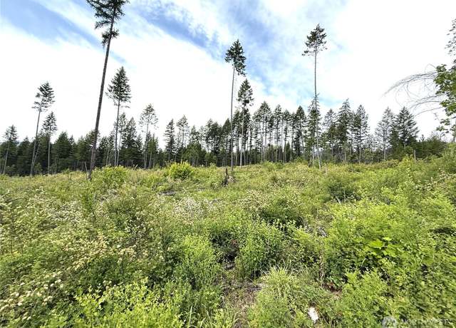 Property at 0 Lot 4 Rockabye Ln, Curlew, WA 99118