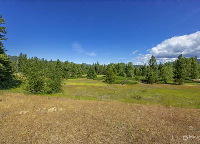 Property at 20106 Shugart Flats Rd, Leavenworth, WA 98826
