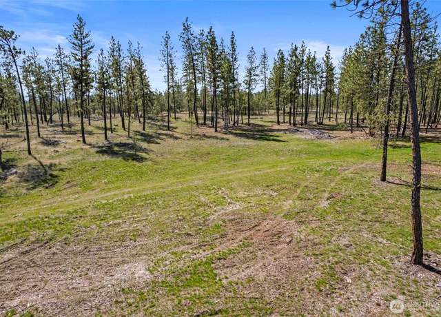 Property at 5742 Corkscrew Canyon Rd, Tumtum, WA 99034