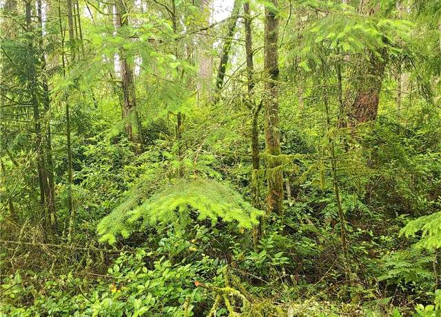 Property at 9229 Kootenia Dr, Anderson Island, WA 98303