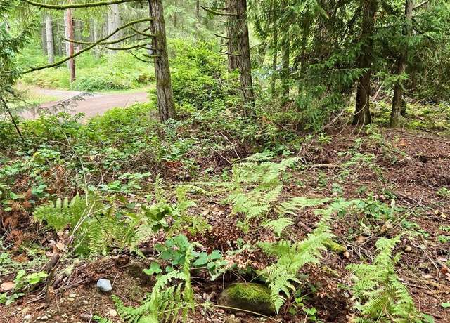 Property at 11119 122nd Avenue Ct, Anderson Island, WA 98303