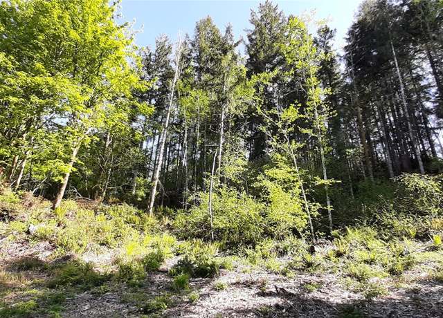 Property at 301 NE WJ Way, Belfair, WA 98528