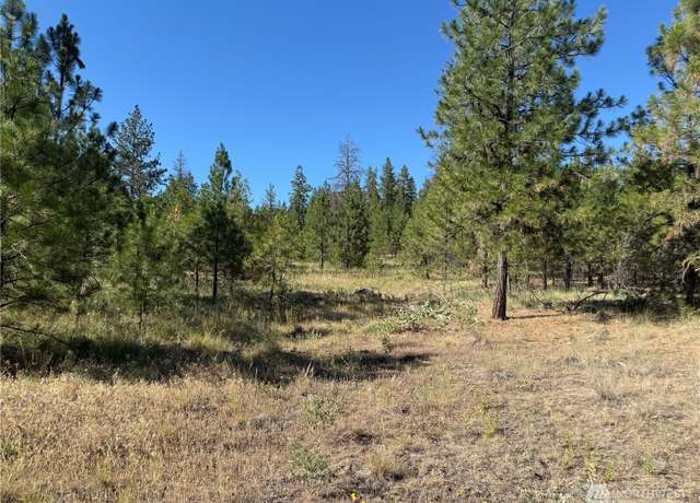 Property at 0 TBD, Davenport, WA 99122