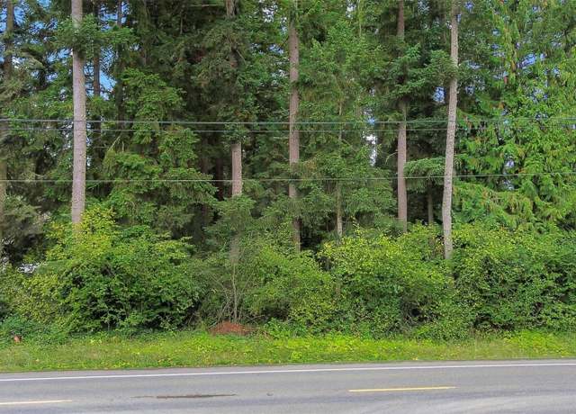 Property at 0 148th Ave SE, Yelm, WA 98597