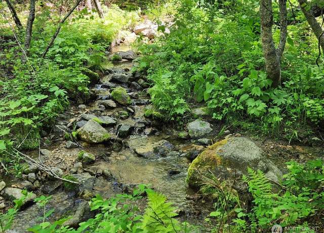 Property at 0 Wild Turkey Ln, Riverside, WA 98849