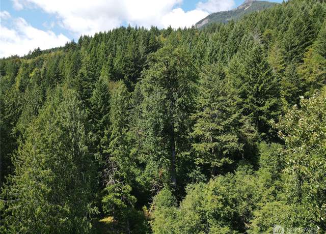 Property at 0 Cannon Rd, White Pass, WA 98937