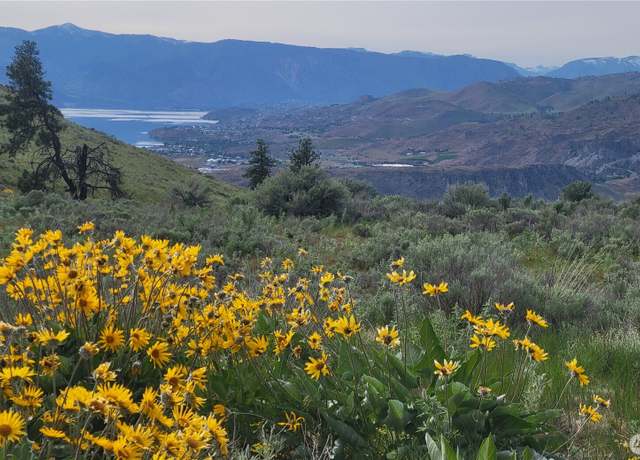 Property at 0 Coyote's Curve Rd, Orondo, WA 98843