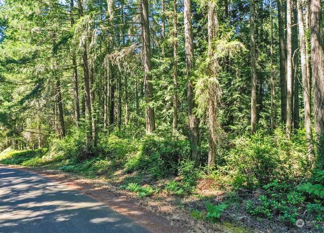 Property at 11012 Spruce Dr, Anderson Island, WA 98303